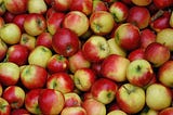 Apple orchard as a business in Ukraine: sale of a turnkey business with estimations and detailed…
