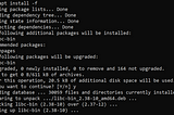 Solving Kali Linux WSL Stuck on ‘Setting up libc6:amd64’