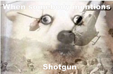 Servers and our long battle with Shotgun