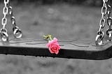 Pink rose on a child’s swing