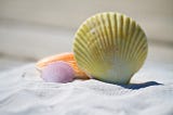 Execute Python with Shebang — Make Your Scripts Executable