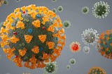 Know about NeoCov and MERS-CoV