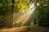 Powerful Morning Routine Habits I Have Discovered To Set Up the Day