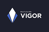 Vigor Protocol: What To Do With VIGOR