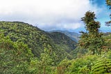 Monte Verde — Where Nature is Behind a Paywall