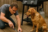 The Barbecue Chronicles