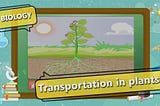 GK For Competitive Exams in Biology-Transportation in Plants