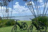 Family Fun in the Florida Sun: E-Bike Rentals for All Ages at Paradise Life ☀️🚴‍♂️👨‍👩‍👧‍👦