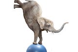 Gray elephant balancing on a blue ball.