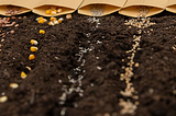 A VC’s Playbook: An Investor’s Guide to Seed Investing