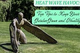 Heat Wave Havoc: Top Tips to Keep Your Garden Green and Healthy