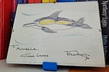 My Dolphin Drawing From Tony Hart