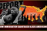 The Elephant In The Room: How Immigration Sabotaged Black Americans