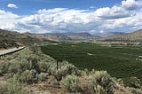 A view of the Okanogan Valley with sagebrush, irrigated orchards and blue sky with clouds