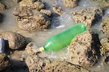 Plastic pollution: an indicator of the Anthropocene?