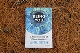 A look into Being You by Anil Seth — Neural Buddhist