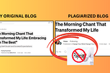 My Blog Has Been Copied and Plagiarized by Another Author