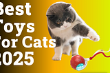 Best Toys For Cats | Top 5 Toys For Cats 2025
