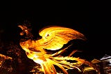 Indomitable Phoenix Within