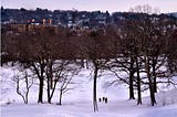 Hyde Park in Winter