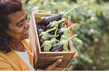 Produce Profile: How to Navigate Eggplant from Selection to Preparation