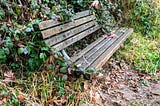 A Bench at the River’s Edge