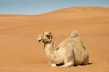 What Made The Sahara Desert?