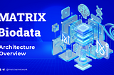Matrix Biodata Architecture Overview