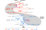 Rewilding Software Engineering
