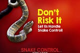 Effective Snake Control Services in Abu Dhabi