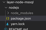 AWS lambda layer (Node Js and Python)