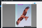 Hawk Vision — Smart Cropped Images Addon