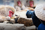 5 Photography Tours That Will Improve Your Skills