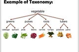 Overview of Information Architecture