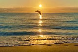 My Repeat Holiday By The Sea
