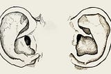 A detailed study in ink of two ear lobes, by Adam Westbrook