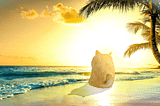 We commissioned the biggest Doge Beach Art yet! — $DOG Community Call #30 Recap