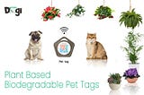 The World’s First Biodegradable Blockchain Pet Tag