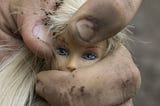 Barbie doll in man’s fist, showing oppression of women