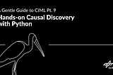Hands-on Causal Discovery with Python