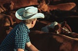 The Cowboy Lie