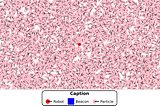 Particle Filter Part 4 — Pseudocode (and Python code)