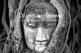 Disentanglement — Chapter 2: Vulture