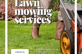 How To Keep A Green Lawn In Adelaide, South Australia