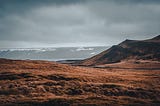 The Icelandic wind blows through the vast fields of golden grass