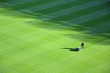 Picture of a person with a push mower, mowing a very large lawn.