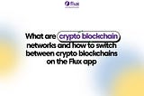 What are crypto blockchain networks?