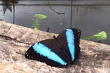 Why Do We Tend to Fear Personal Transformation?