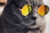 Memes Invert Product-Market Fit