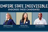 Empire State Indivisible Announces Slate Of Endorsements Prioritizing Candidates Who Are…